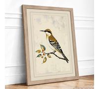 Hoopoe on Branch Botanical Framed Wall Art Print A3 (42×29.7cm) Oak, Wall Decor for Living Room, Bedroom, Office & Home, Ready to Hang, Art Gift