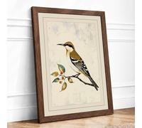 Hoopoe on Branch Botanical Framed Wall Art Print A4 (29.7×21cm) Walnut, Wall Decor for Living Room, Bedroom, Office & Home, Ready to Hang, Art Gift