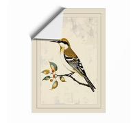 Hoopoe on Branch Botanical Unframed Wall Art Print A1 (84.1×59.4cm), Wall Decor for Living Room, Bedroom, Office & Home, Art Gift