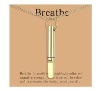 hooppoo Quit Smoking Necklace, Anxiety Relief Breathing Inhaler with Essential Oil Pad - Aromatherapy Diffuser Pendant for Smokers, Stainless Steel Necklace for Women & Men, M, Stainless Steel, No