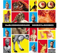 Hooray For Boobiesexplicitlyrics