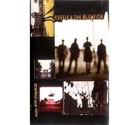 Hootie and the Blowfi - Cracked Rear View [CASSETTE]