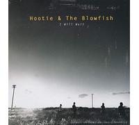 Hootie and the Blowfi - I Will Wait