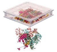 HOOTNEE 1 Box Nail Dried Flower for Manicure Storage Box Japanese Style Delicate Design Assorted Color Good Decorative Effect Express Creativity for Nail Art DIY Color
