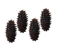 HOOTNEE 4pcs Artificial Sea Cucumber Model PVC Lifelike Food Decor Educational Display Prop for Market Window Teaching Photography