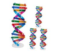 HOOTNEE 4pcs Dna Double Helix Model Kit Educational Biological Teaching Supplies Interactive DIY Assembly Human Genes Learning Tool for Science Students and Family