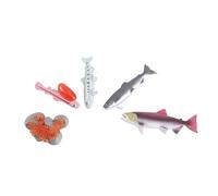 HOOTNEE 4Pcs Realistic Salmon Growth Cycle Model Set Educational Aquatic Creatures Figures for Cognitive Learning Safe Materials Random Color
