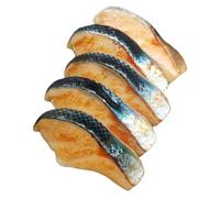 HOOTNEE 5Pcs Artificial Fish Meat Models Lifelike PVC Fake Fish Blocks for Kitchen Home Decoration Restaurant Display Party Props Realistic Pretend Food