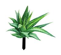HOOTNEE Aloe Garden Stake Outdoor Decoration Inserts Lifelike Aloe Stake Garden Ornament Creative Sign