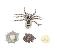 HOOTNEE Animal Growth Cycle Model Set - Wolf Spider Life Stage Educational Display, Insect Evolution Figurine for Science Learning and Party Decoration
