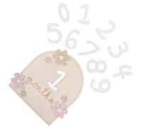 HOOTNEE Baby Progress Cards Wood Monthly Discs for Baby Boy Newborn Signs Keepsake Creation Gift for Expecting Mother Exquisitely Crafted Elegant Charm Decorative Monthly Discs Suitable