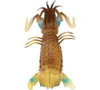 HOOTNEE Educational Animal Model, Wear-resistant Plastic Mantis Shrimp Figure, Compact Sensory Learning for Boys, Portable ’s Accessory