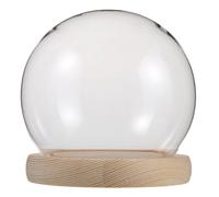 HOOTNEE Glass Dome Display Sphere with Base Transparent Glass Cloche for Preserved Flowers Clay Models Decorative Items Full View Bell Jar Showcase for Desktop Home