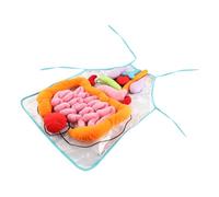 HOOTNEE Human Organs Recognition Apron for Soft Cotton Teaching Aid Early Education Tool for Preschool and Kindergarten Body Anatomy Learning