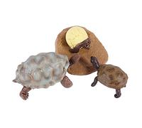 HOOTNEE Simulation Cycle Figurines Set Educational Animal Models for Realistic Texture Cognitive for Nature Learning and Imaginative Play