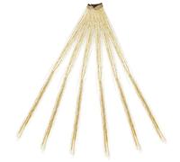 HOOWIFFY 6pcs Clip on Hair Tinsel Tinsel Hair Extensions Charming Shiny Golden with Excellent Durability Easy Install and Removal for Special Occasions and Dances