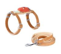 HOOWIFFY Adjustable Cat Harness and Kitten Leash Set in Orange with Polyester Material and Stainless Steel Buckle, Escape Proof Design for Safe Outdoor Walking of Pets and Kittens
