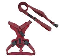 HOOZA: Magnetic Quick Clip: Control Harness w/Flat Leash,Red,Small