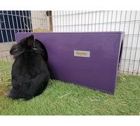 Hop Inn Rabbit Hideaway for Indoor or Outdoor Pet Friendly Paints and Stains (Czar Plum)