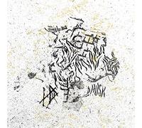 Hope Drone - Husk