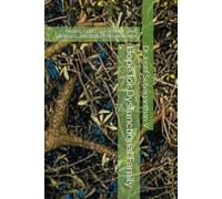 Hope for Dysfunctional Family: Finding God's Grace Amid Grief, Betrayal, and Broken Relationships