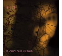 Hope Sandoval And The Warm Inv - Isnt It True [7" VINYL]