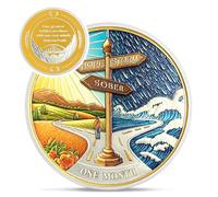 Hope Signpost 1 Month Sobriety Coin - Reborn from Storm AA Coins - 30 Day AA Chips and Medallions - 1-10 Years NA AA Celebrate Recovery Addicts - Narcotics Alcoholics Anonymous Gifts for Men Women