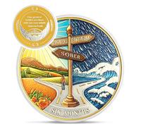 Hope Signpost 6 Month Sobriety Coin - Reborn from Storm AA Coins - 180 Day AA Chips and Medallions - 1-10 Years NA AA Celebrate Recovery Addicts - Narcotics Alcoholics Anonymous Gifts for Men Women