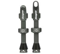 Hope Tubeless Valve - Pair - Smoke, 60mm