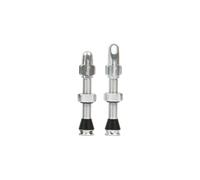 Hope Tubeless Valves in Silver - 60mm one size