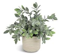 Hopewood Artificial Plant Indoor Potted Small Fake Plant Decorative Faux Plant for Home Bathroom Farmhouse Desk Shelf Decor(9.8inch)
