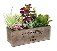 Hopewood Artificial Succulent Plants Arrangement in Wooden Planter, Fake Succulents Plants in Rustic Wood Box, Faux Succulent in Rectangular Pot, Centerpiece, Home Office Shelf Indoor Decor Plants