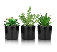 Hopewood Artificial Succulents Faux Potted Plant Decor, Small Fake Plants in Black Pot, Realistic and Lifelike for Book Shelf, Desk Decor, Home Office, Kitchen, or Bathroom Decor - Pack of 3