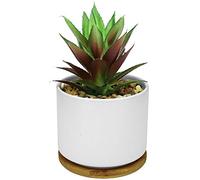 Hopewood Artificial Succulents in Pot, Fake Potted Pineapple Succulents Plants with Ceramic Pot and Wooden Tray, Potted Artificial Plants for Home, Office Desk and Bathroom Decor 6.8inch×4.3inch