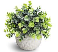 Hopewood Fake Plants Indoor Small Artificial Eucalyptus Plants in White Pots for Bedroom Home Decor Faux Plants Decor