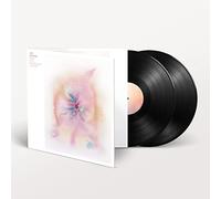 Jon Hopkins - Music for Psychedelic Therapy - Vinyl - Domino