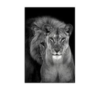 HOPNRU Lion and Lioness Wall Art Picture Black and White Animal Male and Female Lion Poster Print Canvas Painting for Living Room Office Bathroom Decor(30x45cm-No Frame)
