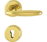 Hoppe Roissy Door Handle Set with Rosette PZ Polished Brass Double Cylinder Loc