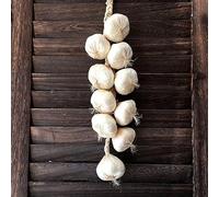 Hoppipola Artificial Garlic and Onion String Fake Food Decor for Home Kitchen Party Office Plastic Faux Vegetable Garland (Purple Onion & White Garlic) 2#