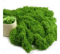 Hopton 150g Artificial Moss for Decorating, Moss Decoration, Crafts, Iceland Moss, Artificial Grass, Artificial Plant, Fake Plants, Aquarium