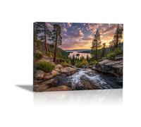 HOQIU Beautiful Wall Art Flowers in the forest canvas artwork for wall, art prints, For living room, bedroom, bathroom, dining room, painting and decor.(powder)-60x80cm Framed