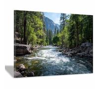 HOQIU Beautiful wall art Forestse River Wall Decor canvas artwork for wall, art prints, For living room, bedroom, bathroom, dining room, painting and decor.(Multicolor)-80x120cm Framed