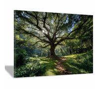 HOQIU Beautiful wall art Sacred big Tree canvas artwork for wall, art prints, For living room, bedroom, bathroom, dining room, painting and decor.(Multicolor)-60x80cm Framed