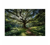 HOQIU Beautiful wall art Sacred big Tree canvas artwork for wall, art prints, For living room, bedroom, bathroom, dining room, painting and decor.(Multicolor)-80x120cm Unframed