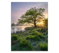 HOQIU Beautiful Wall Art The scenery of big trees by the river canvas artwork for wall, art prints, For living room, bedroom, bathroom, dining room, painting and decor.(green)-80x120cm Unframed