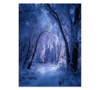HOQIU Beautiful Wall Art Winter forest landscape canvas artwork for wall, art prints, For living room, bedroom, bathroom, dining room, painting and decor.(blue)-40x60cm Unframed