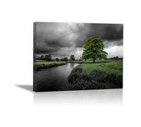 HOQIU Black And White Canvas Wall Art Painting of green leaves and trees by the river canvas wall art, painting and decor, for Living Room Bedroom Home Decoration(black and white)-40x60cm Framed