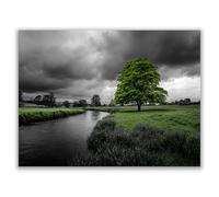 HOQIU Black And White Canvas Wall Art Painting of green leaves and trees by the river canvas wall art, painting and decor, for Living Room Bedroom Home Decoration(black and white)-70x100cm Unframed