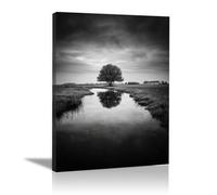 HOQIU Black And White Pictures For Walls Trees by the prairie stream prints for walls, canvas wall art, for Living Room Bedroom Bathroom Home Office Wall Decoration(black and white)-60x80cm Framed