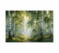 HOQIU Canvas Wall Art Birch Forestse Path canvas art, art print, house decor, bedroom wall decor above bed, prints for living room.(Multicolor)-70x100cm Unframed
